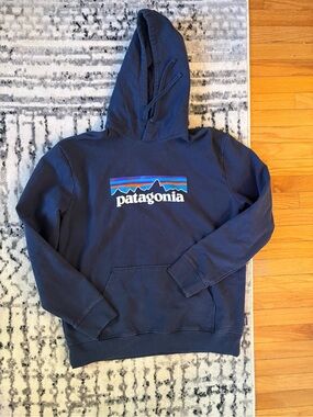 Patagonia Sweatshirt
